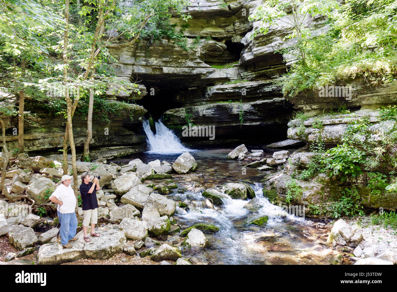 Arkansas Ozark Mountains,Blanchard Springs Recreation Area,uomo maschile,cascata,boschi,formazioni rocciose,alberi,foresta,apertura grotta,AR080603043 Foto Stock