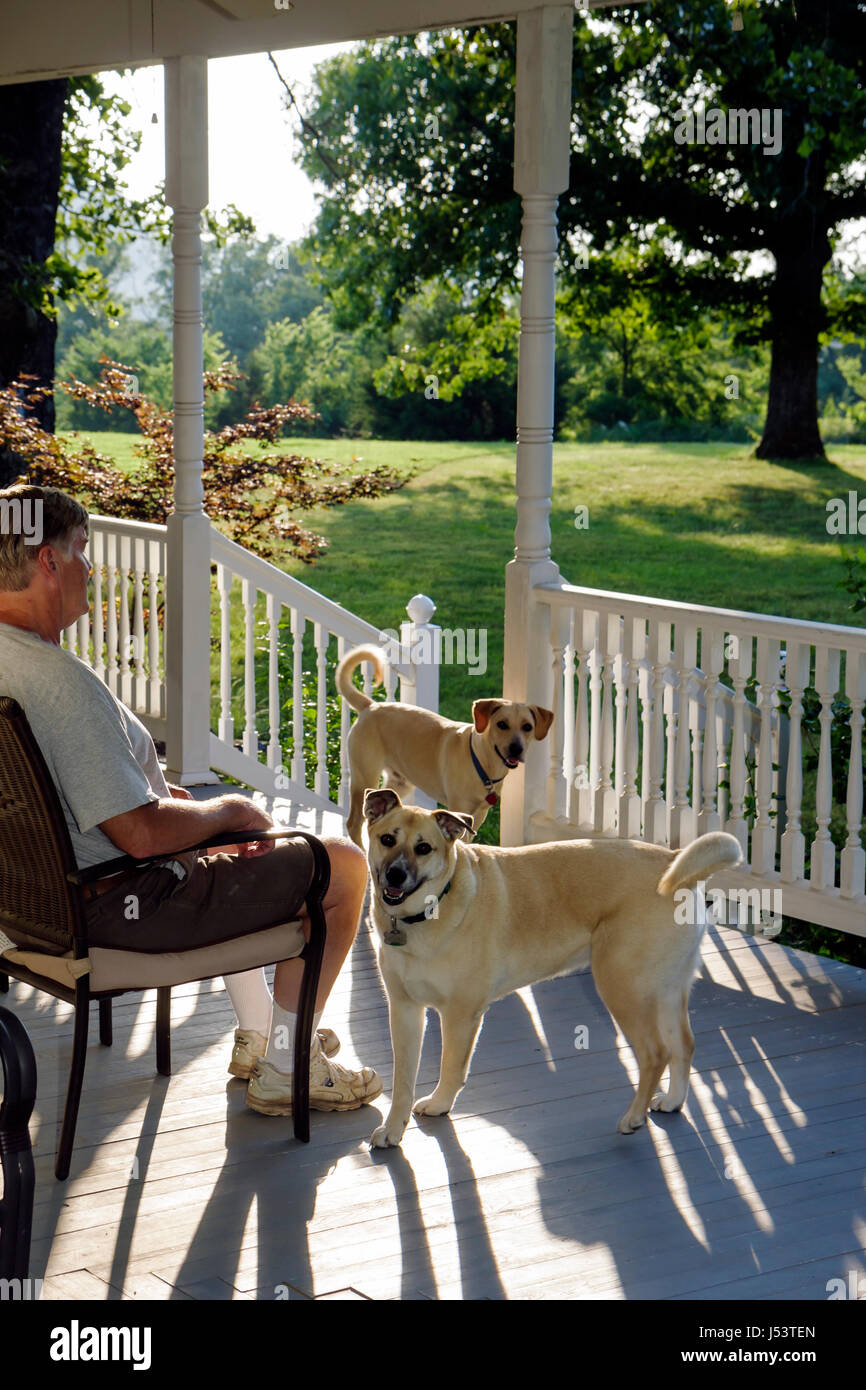 Arkansas Ozark Mountains, Stone County, Mountain View, Country Oaks Bed & Breakfast, uomo uomini maschio, due cani, animale domestico, portico, riposo, giardino, albero, relax, ombra, s Foto Stock