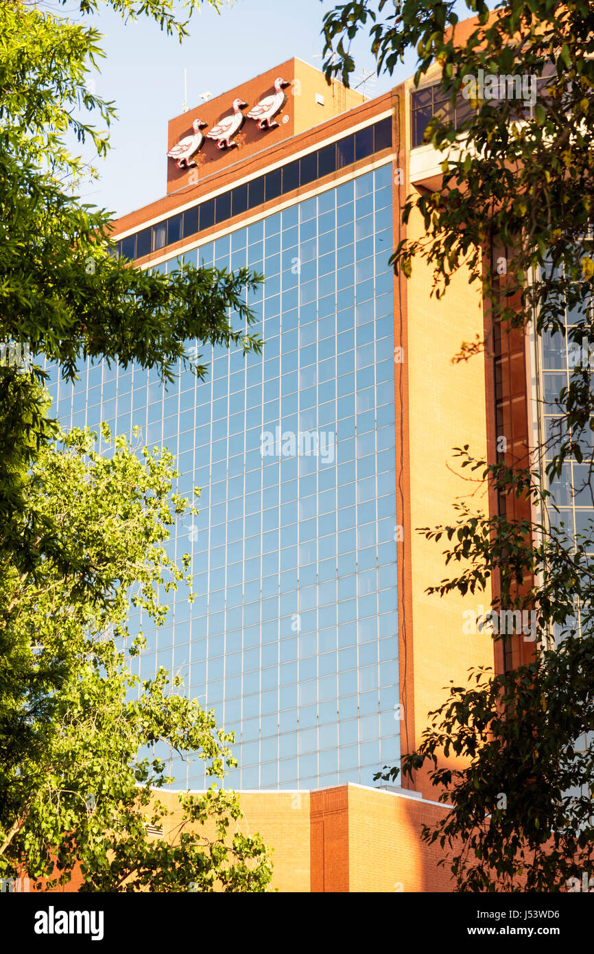 Little Rock Arkansas, The Peabody Little Rock, hotel, grattacieli alti grattacieli edifici edificio rosso, logo aziendale, anatre, AR080607099 Foto Stock