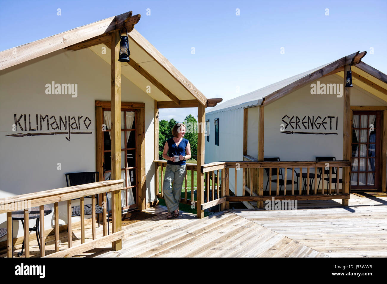 Eureka Springs Arkansas, Ozark Mountains, Turpentine Creek Wildlife Refuge, salvataggio di gatti selvatici esotici, bungalow, alloggio, donna donne, relax, ponte, saf Foto Stock