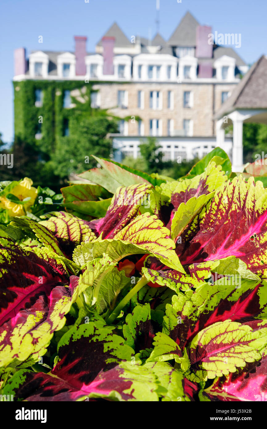 Eureka Springs Arkansas, Ozark Mountains, 1886 Crescent Hotel & Spa, alloggio, giardino, calcare, infestato, fantasma, AR080610084 Foto Stock