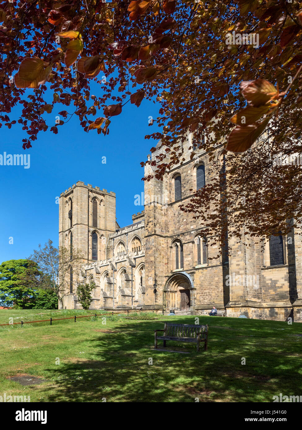 Nella cattedrale di Ripon in primavera Ripon North Yorkshire, Inghilterra Foto Stock