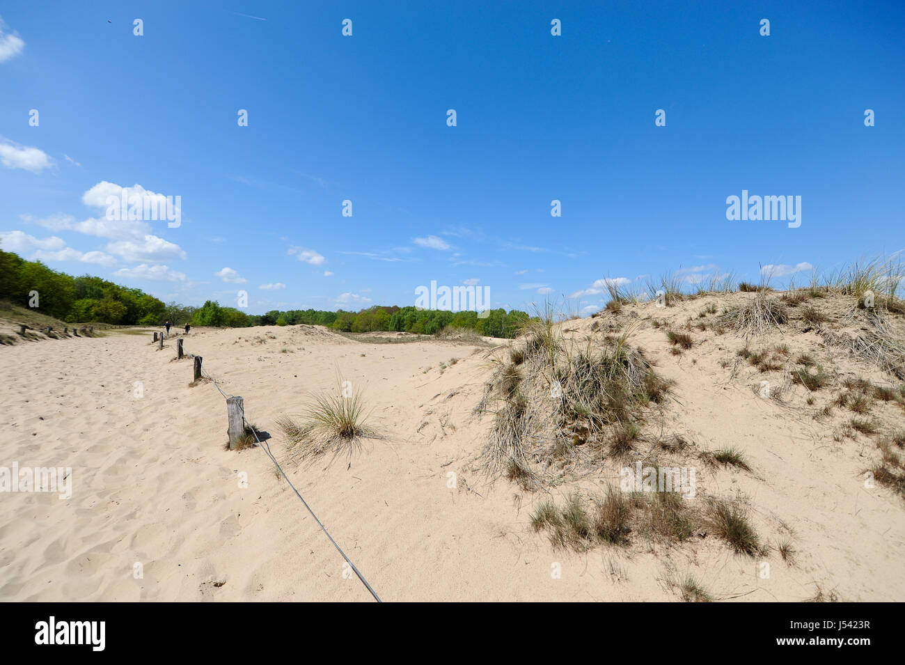 Il paesaggio di dune Boberger o Boberger Duenen, nel sud-ovest di Amburgo, Germania. Foto Stock