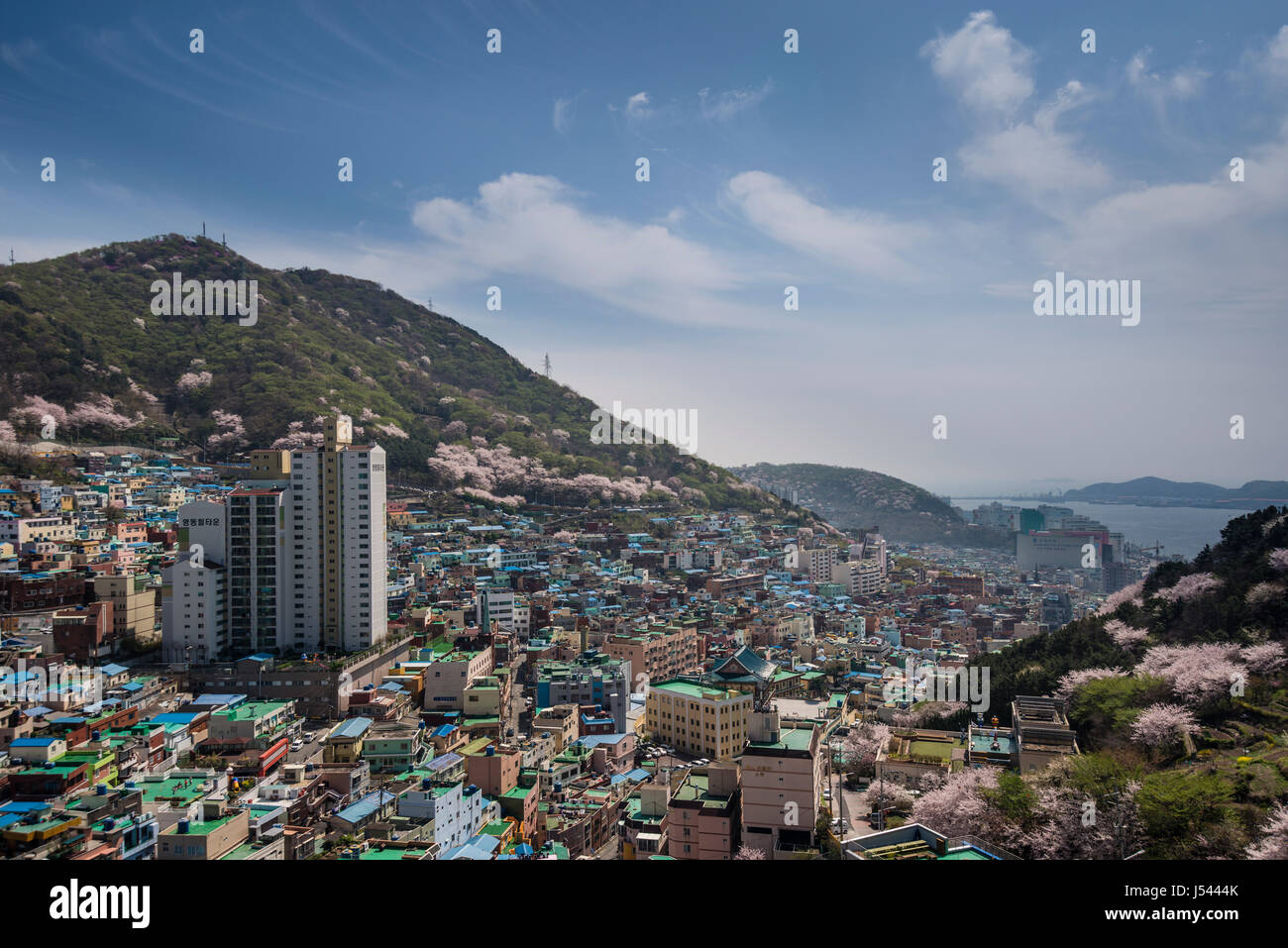 Dipinto luminosamente case in cultura Gamcheon Village, Busan Foto Stock