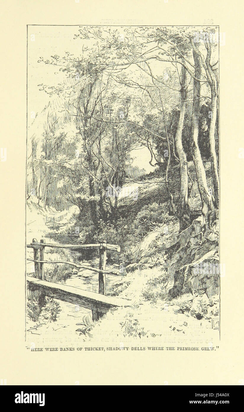 Immagine presa da pagina 405 del '[Springhaven. Un racconto della grande guerra ... Terza edizione.]" Foto Stock