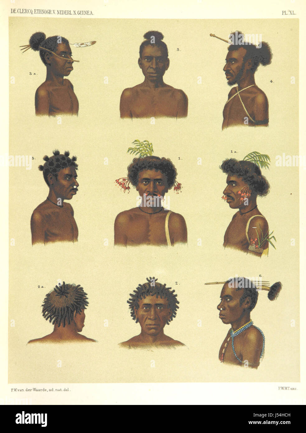 Immagine presa da pagina 489 di 'Ethnographische beschrijving van de West- en Noordkust von Nederlandsch porta Nieuw-Guinea F. S. A. De Clercq, met medewerking van J. D. E. Schmeltz ... Incontrato bijvoeging eener schets der ethnographie van Duitsch en Britsch Nieuw Foto Stock