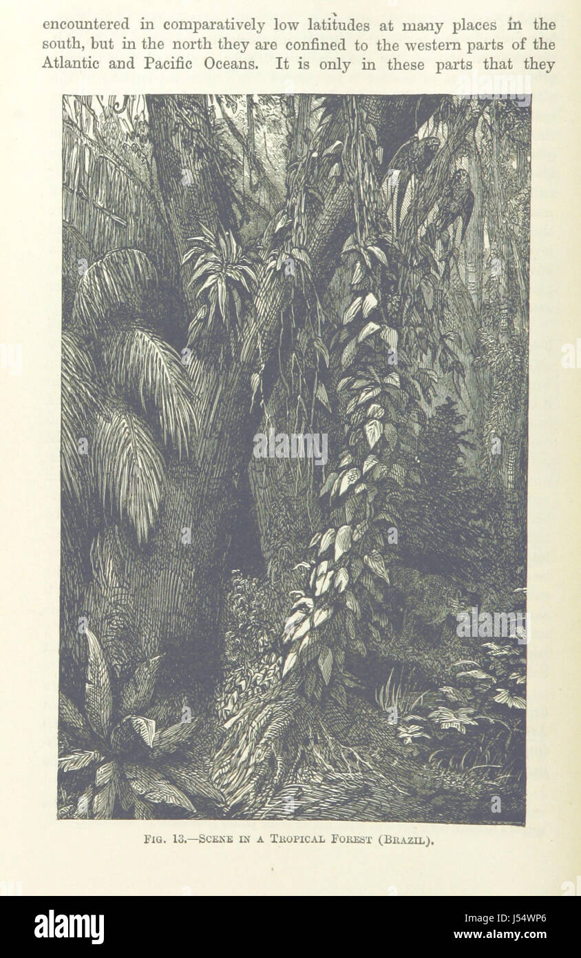 "Longmans' School Geography for Australasia" è un libro di testo educativo incentrato sulla geografia dell'Australasia, che fornisce informazioni dettagliate sulle forme del terreno, i climi e le persone della regione. Serve come risorsa per gli studenti per conoscere la geografia e le caratteristiche fisiche dell'Australia, della nuova Zelanda e delle aree vicine. Foto Stock