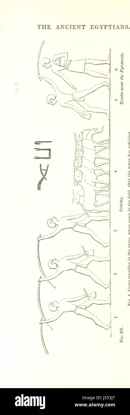 Questo set di tre volumi illustra le maniere e i costumi dell'antico Egitto, offrendo approfondimenti sulla vita quotidiana, le pratiche sociali e i rituali culturali. I volumi includono disegni dettagliati della vita e della società egiziana. Foto Stock