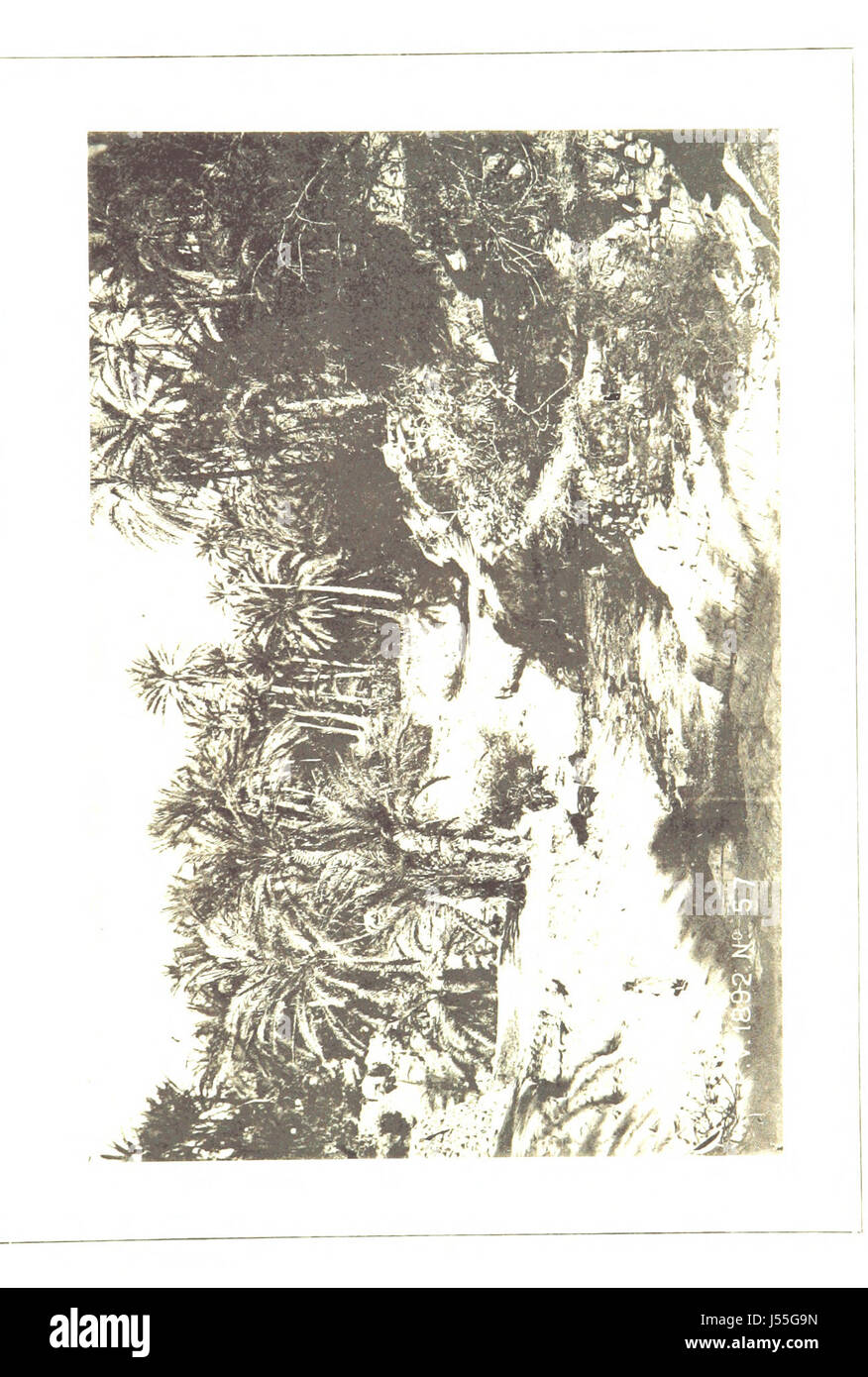 Questa immagine tratta dal libro "Des Zibans au Djerid par les Chotts algÃ©riens" raffigura i paesaggi unici delle regioni algerine di Ziban e Djerid, mostrando l'arido terreno desertico e il paesaggio culturale del Nord Africa. Foto Stock