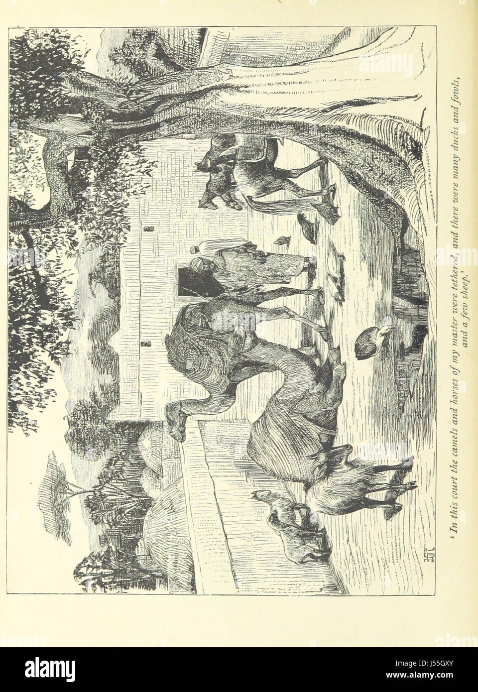 La storia di uno schiavo ... Con ... illustrazioni ... dall'autore di disegni Foto Stock