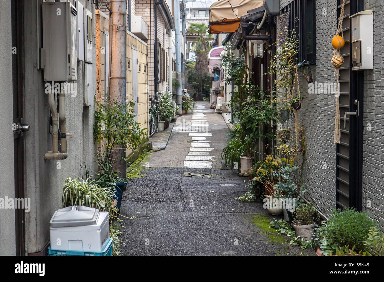 Una tipica strada nella città giapponese di Kyoto Foto Stock