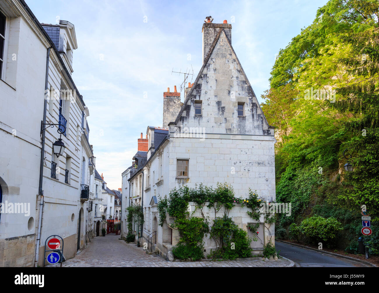Francia, Indre-et-Loire (37), Loches, Centre historique // Francia, Indre et Loire, Loches, centro storico Foto Stock