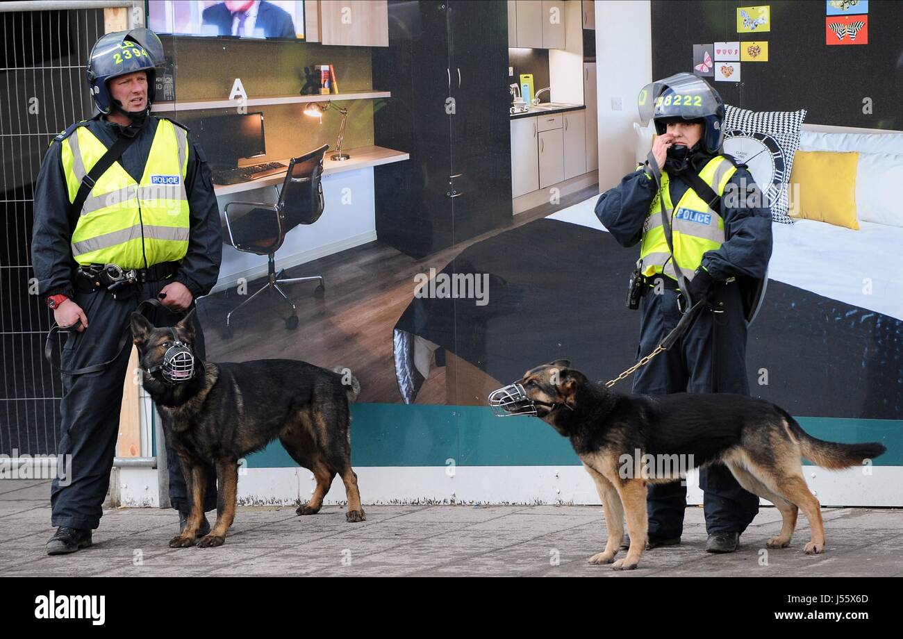 La polizia antisommossa cani di polizia NEWCASTLE FC V SUNDERLAND FC NEWCASTLE V SUNDERLAND FC St James Park Newcastle Inghilterra 01 febbraio 201 Foto Stock