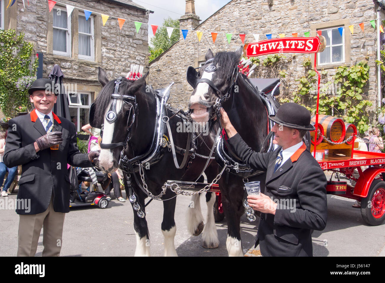 La Birreria Thwaites cavallo carrello presso il cuculo annuale Festival in Austwick, Yorkshire Dales, UK. Foto Stock