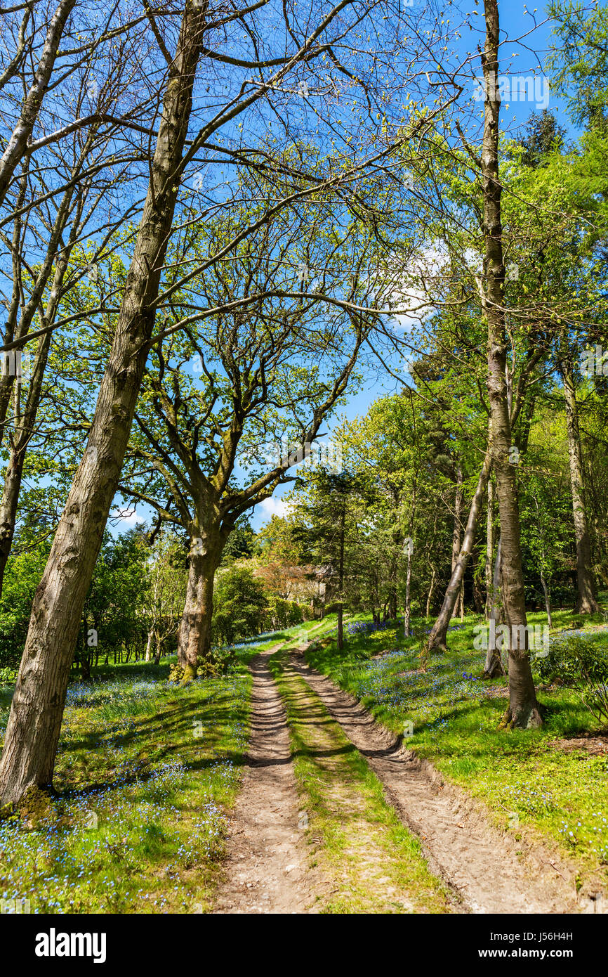 Sala Parcevall giardini, vicino Appletreewick, Wharfedale, Yorkshire Dales National Park, North Yorkshire, Inghilterra, Regno Unito Foto Stock
