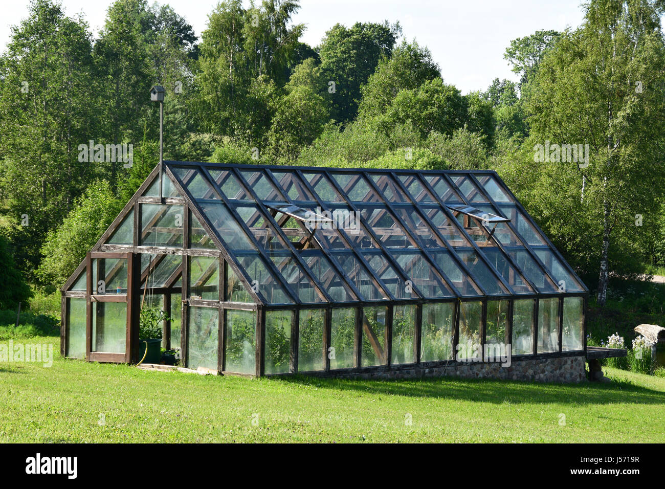 Giardinaggio di vegetale in una serra. Foto Stock