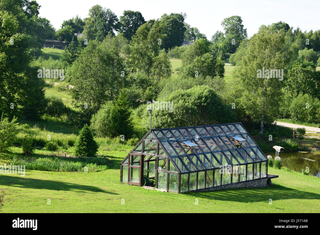 Giardinaggio di vegetale in una serra. Foto Stock