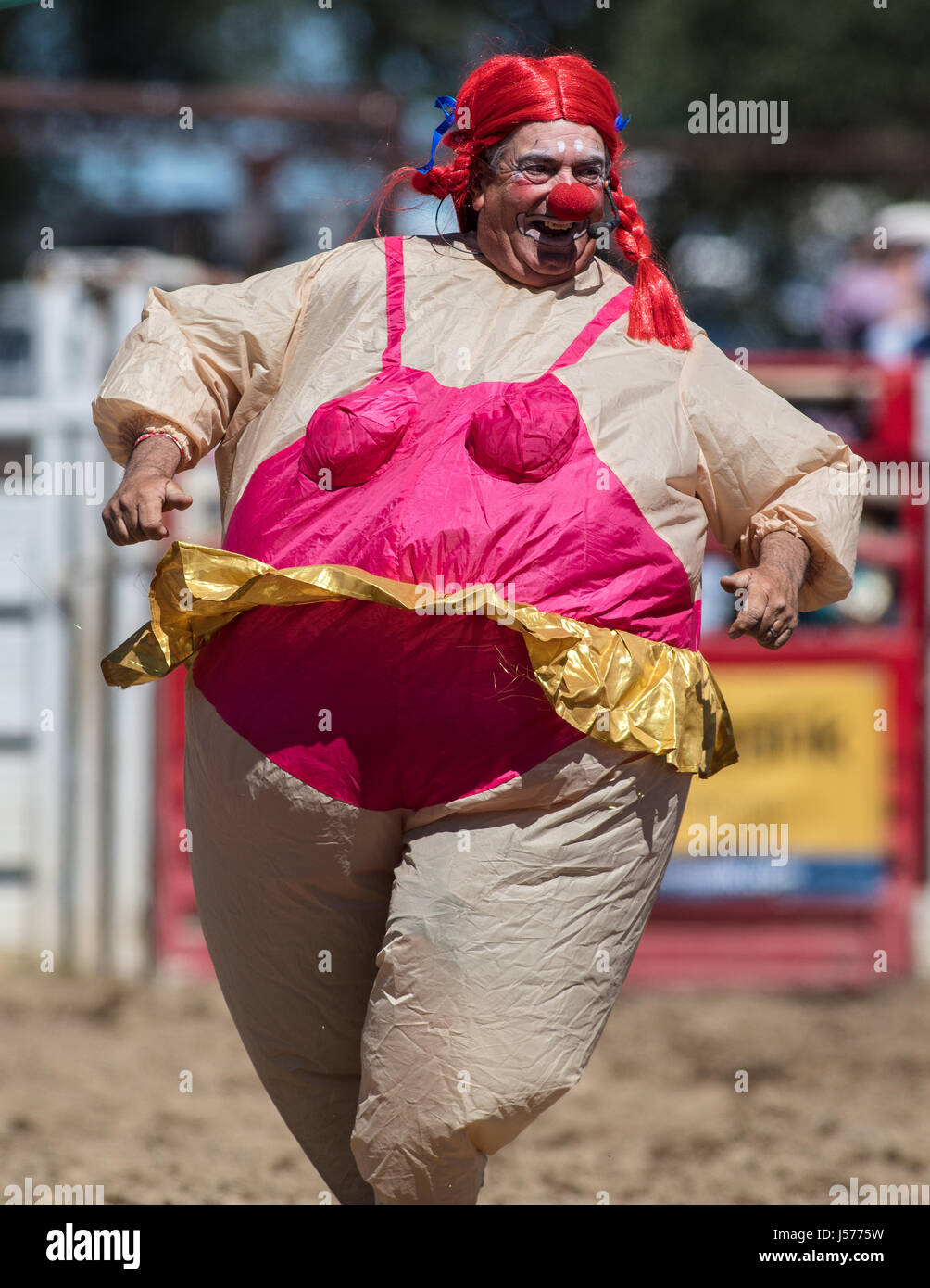 Rodeo clown esegue a pioppi neri americani Rodeo in California. Foto Stock