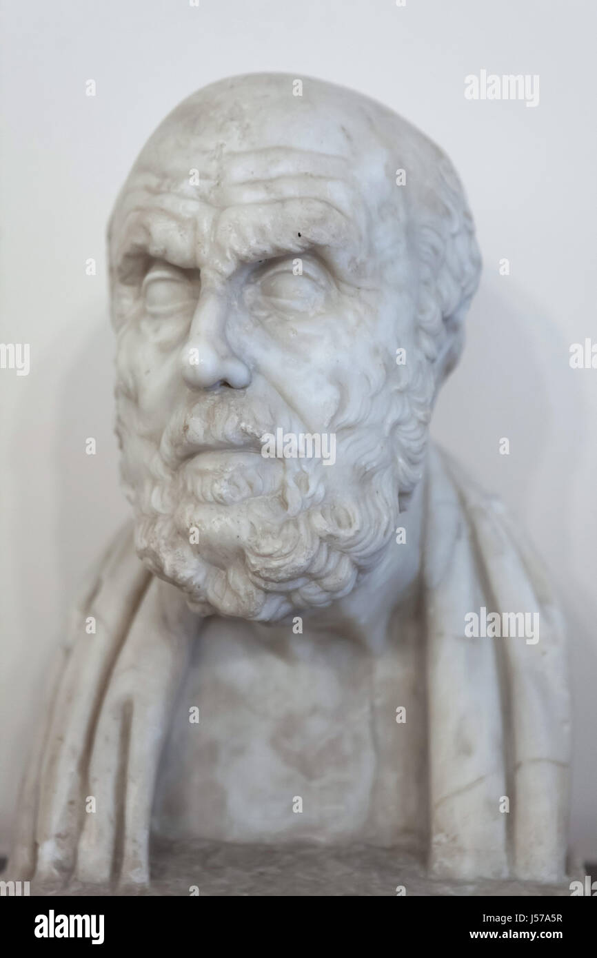 Busto in marmo del Greco stoico filosofo Chrysippus di Soli (279-206 a.C.). Copia romana di età augustea dopo un originale greco dalla fine del III secolo a.c. da Collezione Farnese in mostra al Museo Archeologico Nazionale di Napoli, campania, Italy. Foto Stock