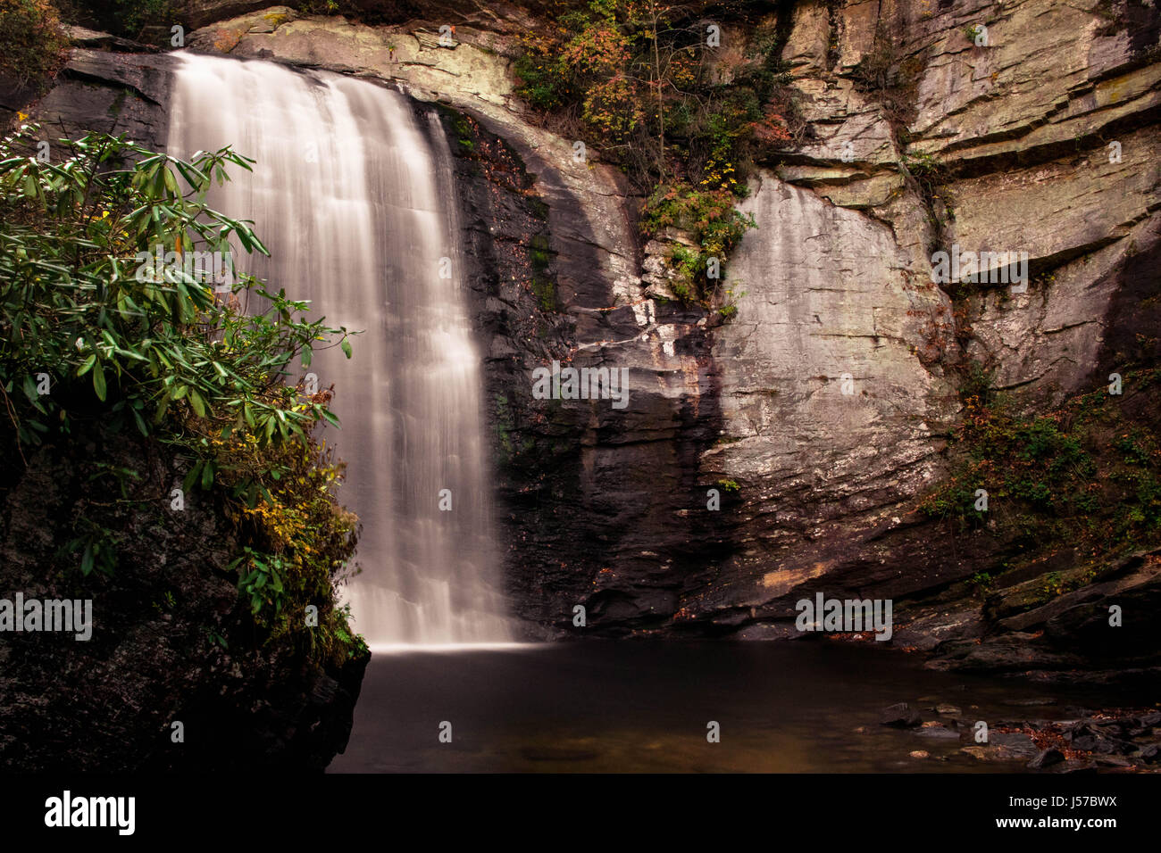 Il Looking Glass Falls - Blue Ridge Parkway - Asheville, Carolina del Nord Foto Stock