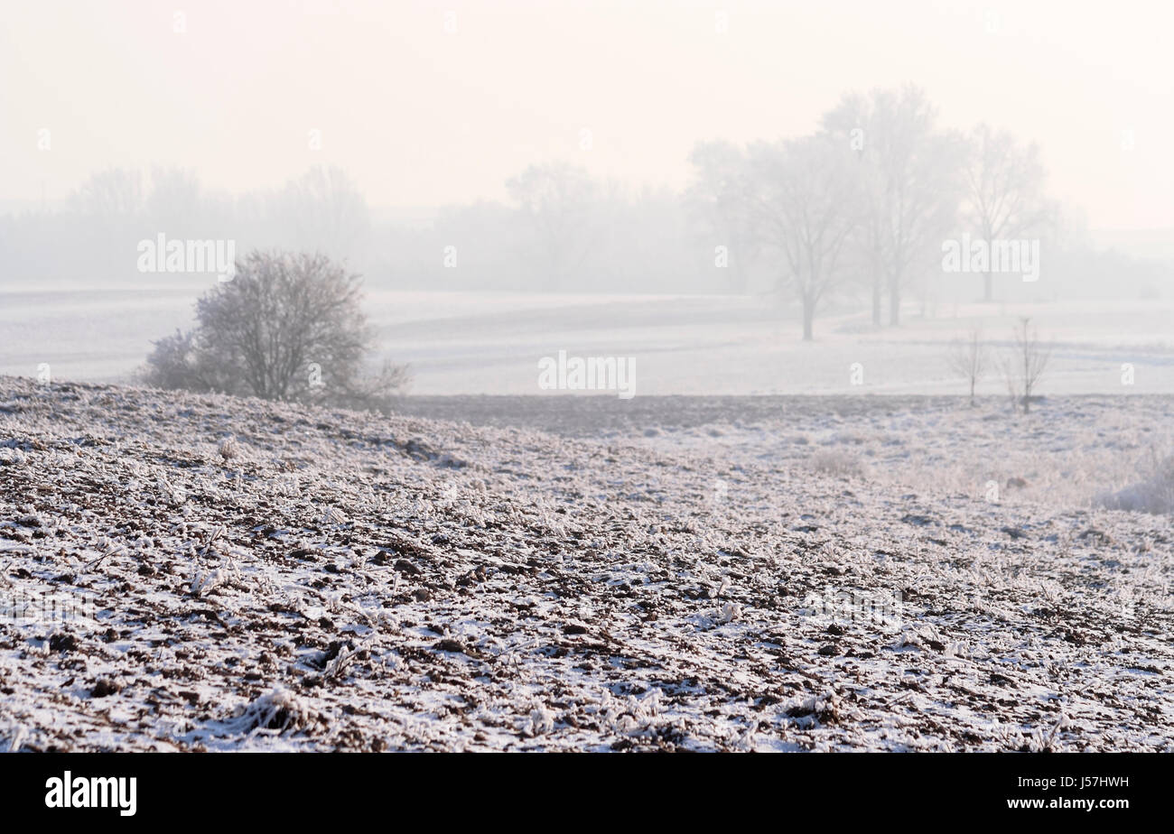 Fumoso rurale e tranquillo paesaggio invernale con campo arato. Focus sul campo. Polonia, Swietokrzyskie. Foto Stock
