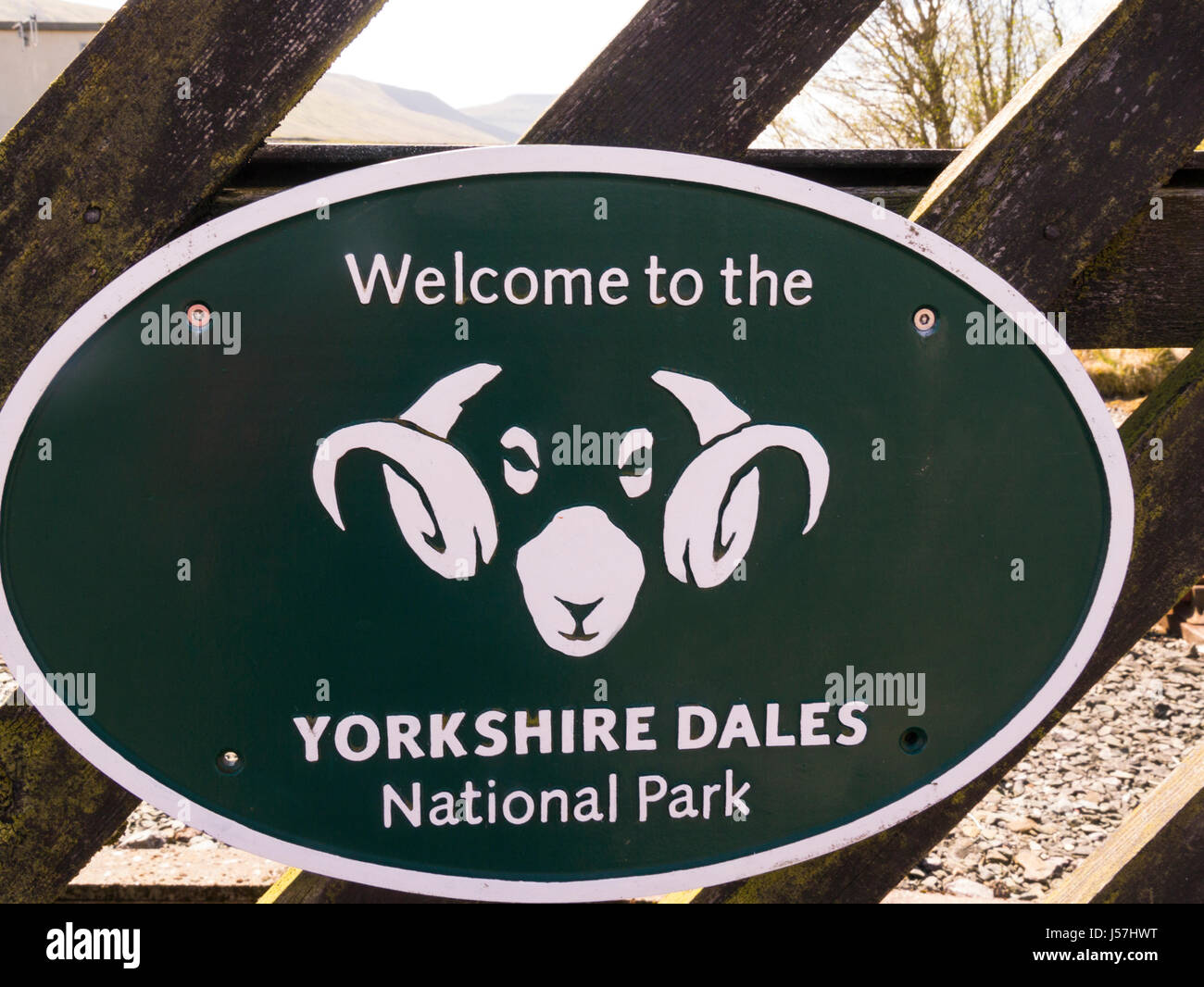 Simbolo ufficiale dello Yorkshire Dales National Park con Swaledale logo Ram Foto Stock