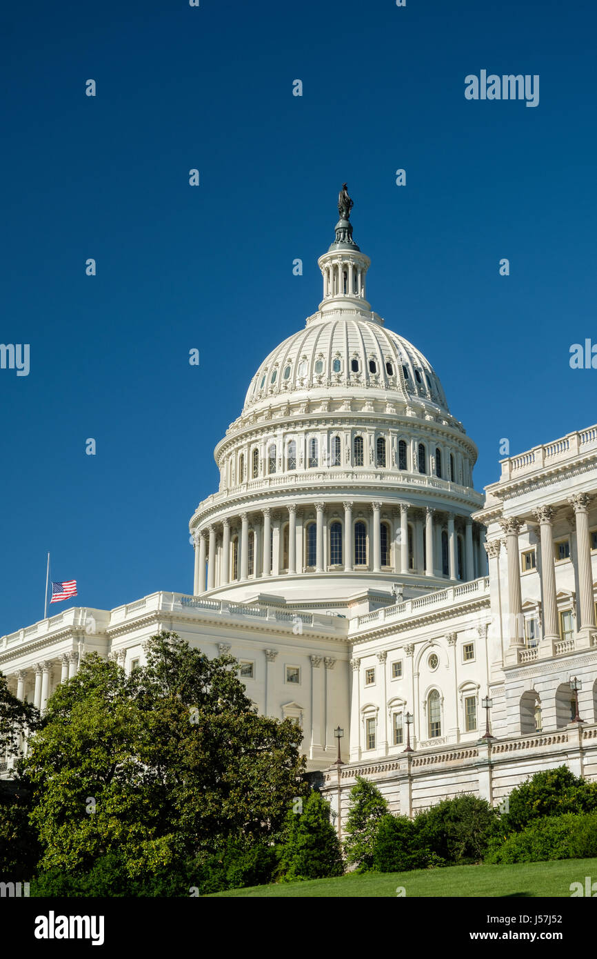 Profilo di U.S. Capitol con bandiera, Washington DC Foto Stock