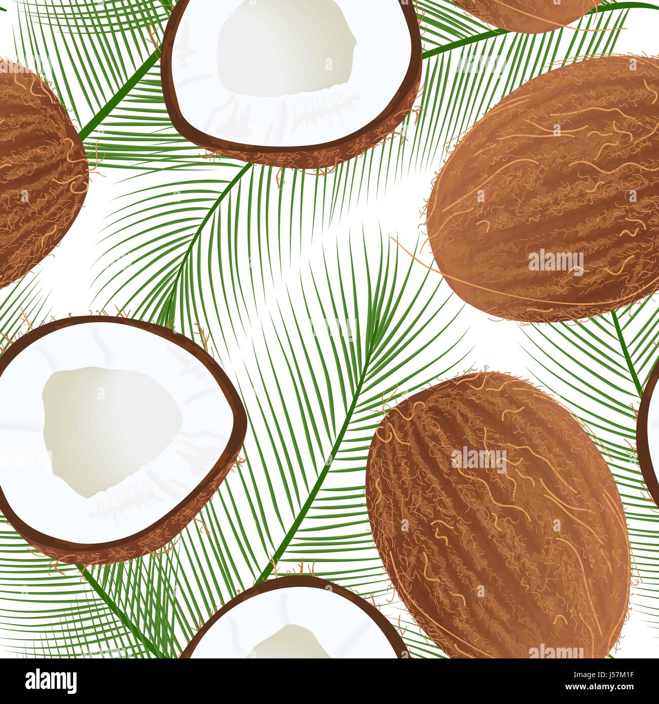 Mature succosa noce di cocco con foglie isolato su bianco. seamless pattern tutto il vettore e mezza Illustrazione Vettoriale