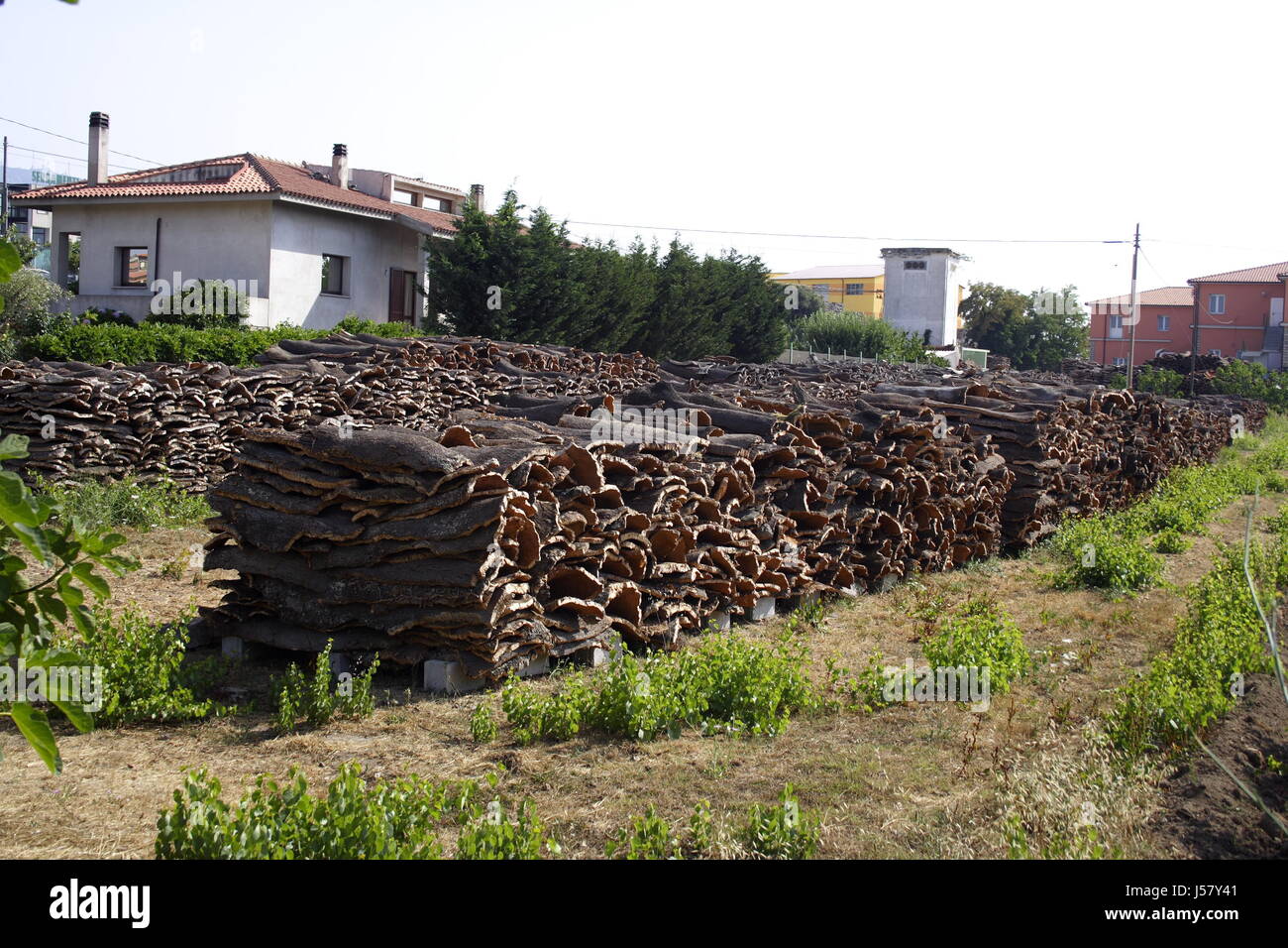 Corteccia,produzione,Cork,camp,camp di tende,sardegna Foto Stock
