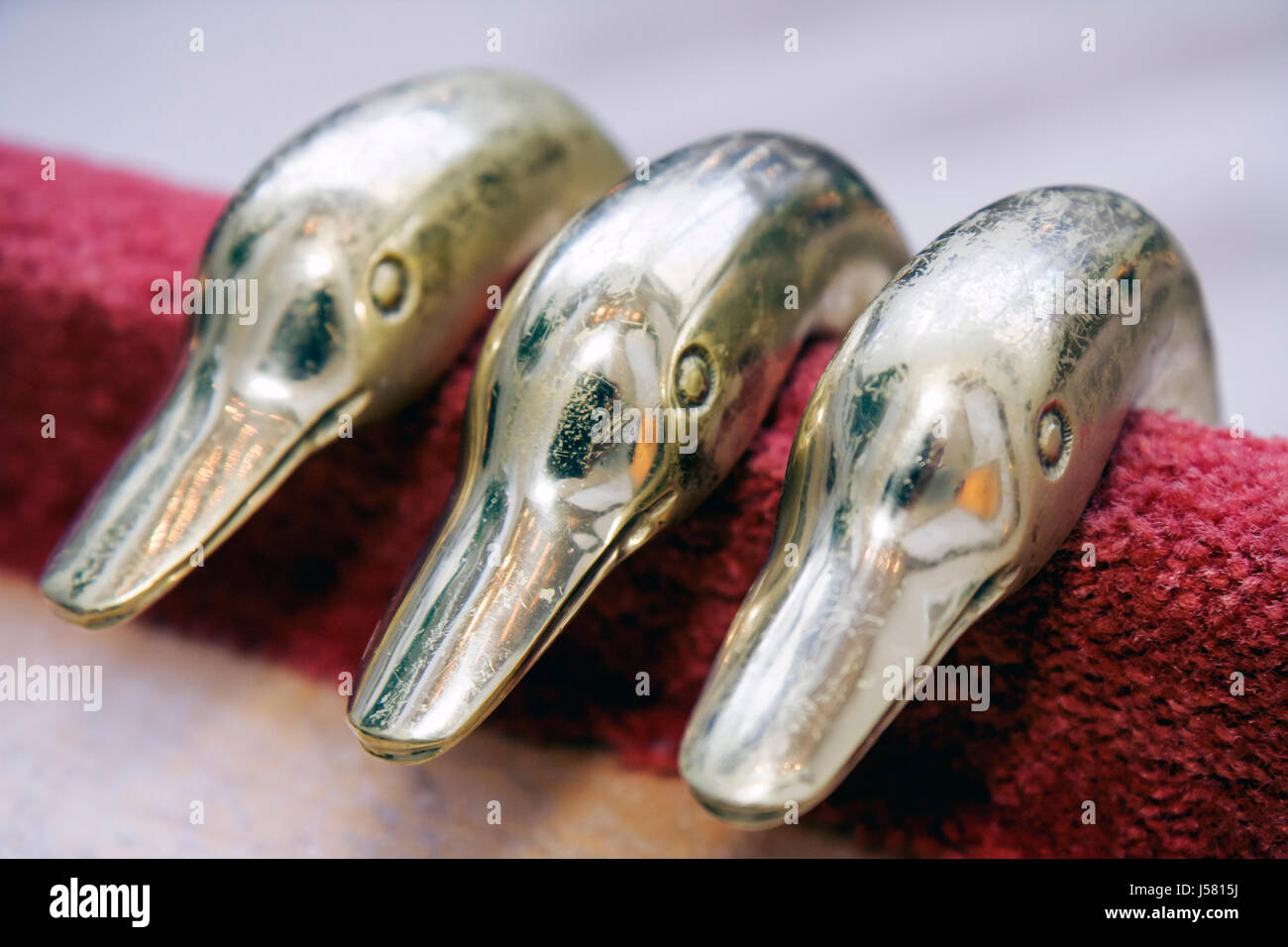 Orlando Florida,International Drive,The Peabody Orlando,hotel hotel hotel alloggio motel inn,Duck March,ottone,canne handle,becco,tradizione,eventi giornalieri Foto Stock