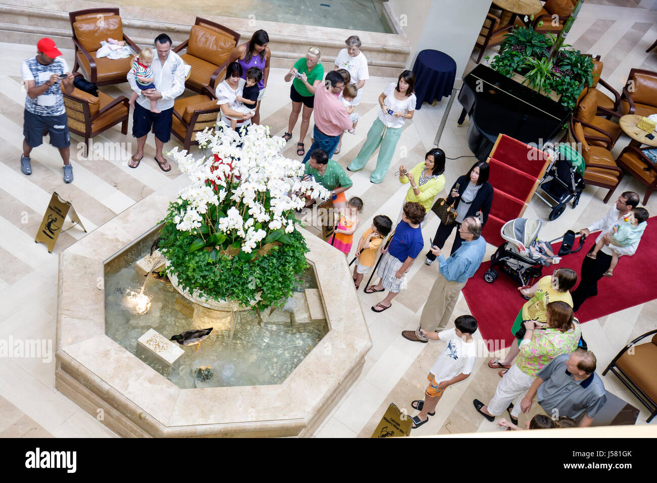 Orlando Florida,International Drive,The Peabody Orlando,hotel hotel hotel hotel alloggio motel,Duck March,fontana della lobby,tradizione,ospiti,bambini,ragazzi Foto Stock