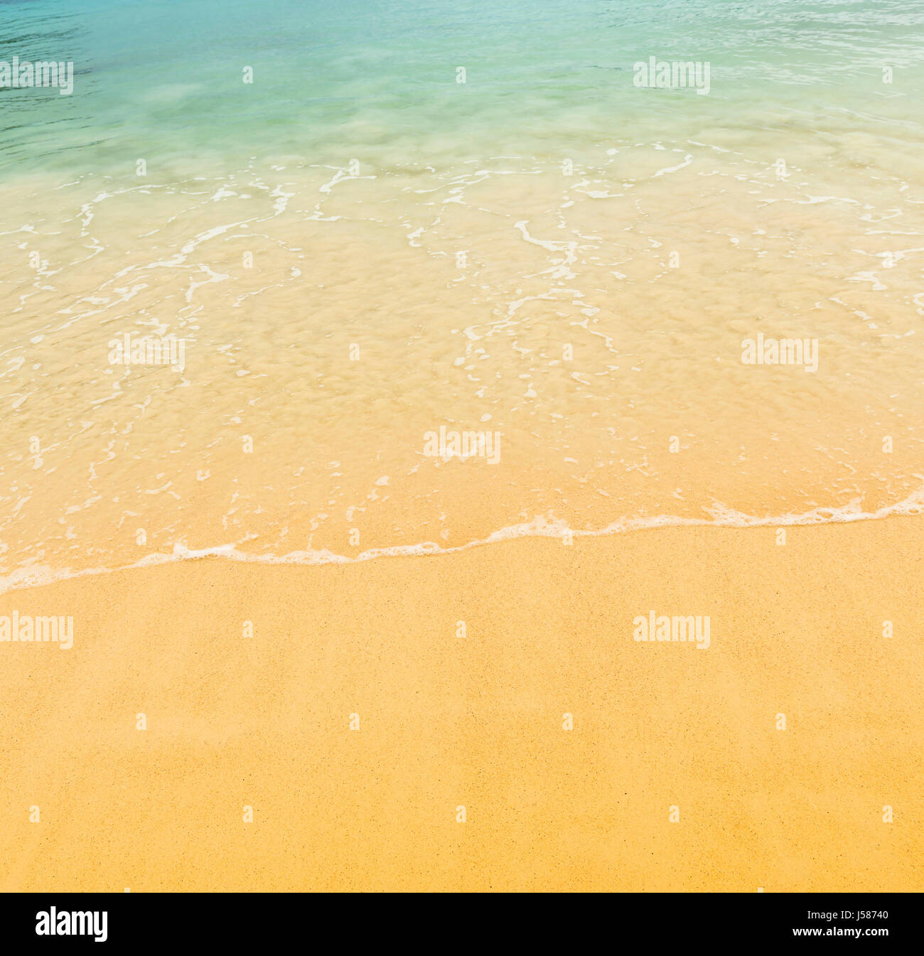 Spiaggia di sfondo della scena tropicale caldo sabbia e acqua limpida che lambiscono la riva Foto Stock