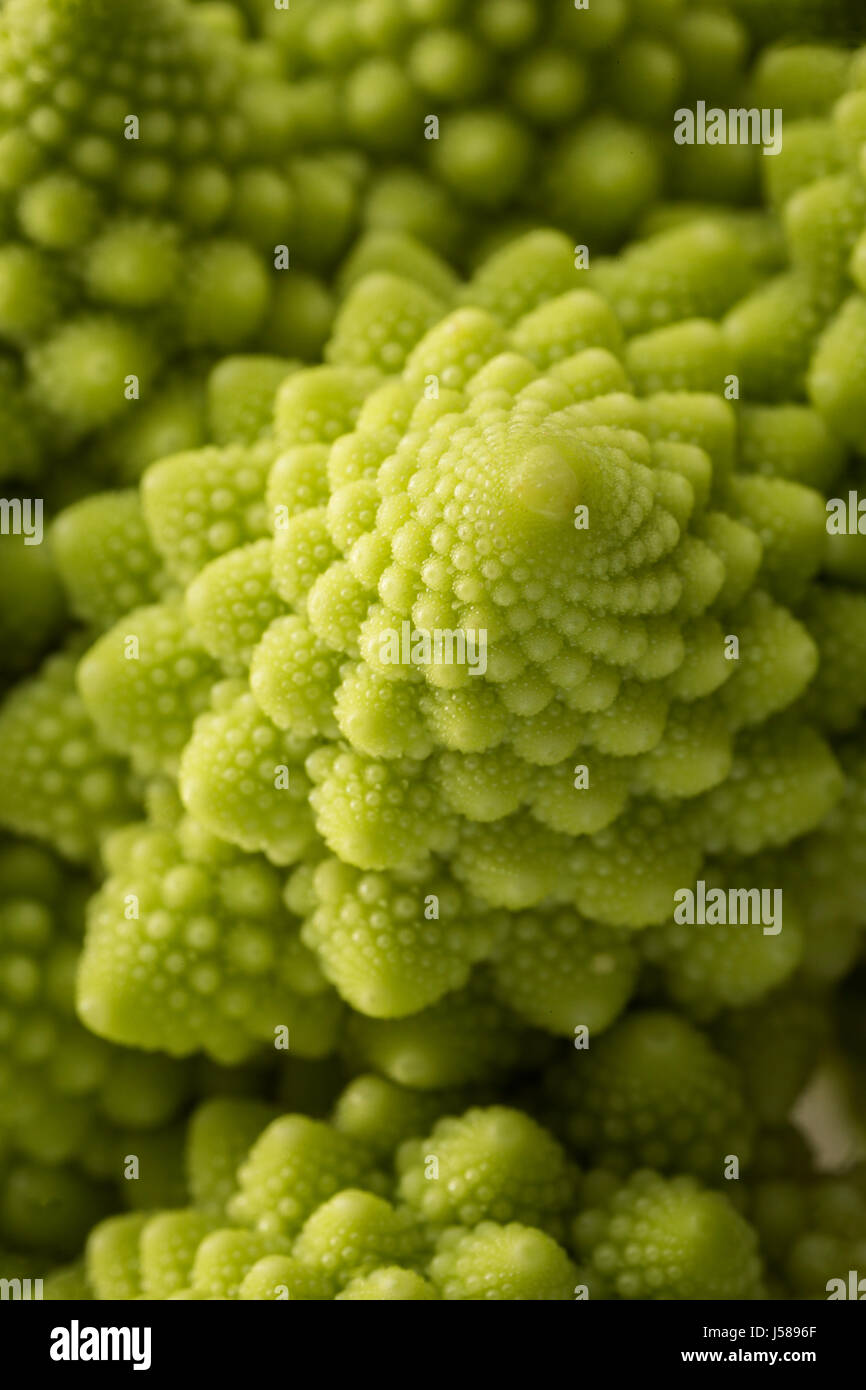 Mini Romanesco broccoli. Foto Stock