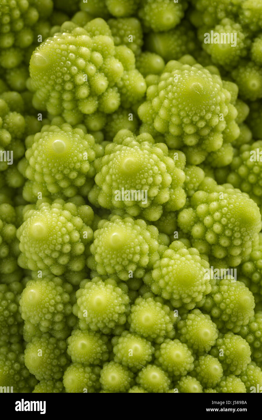 Mini Romanesco broccoli. Foto Stock