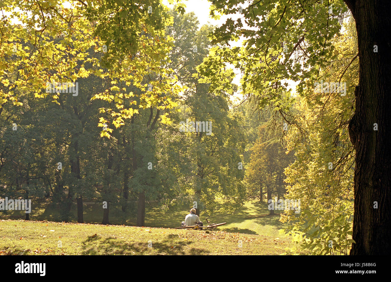 Prenota parco relax godetevi autunnale di Monaco di Baviera nella tarda estate ottobre faggio più soleggiato Foto Stock