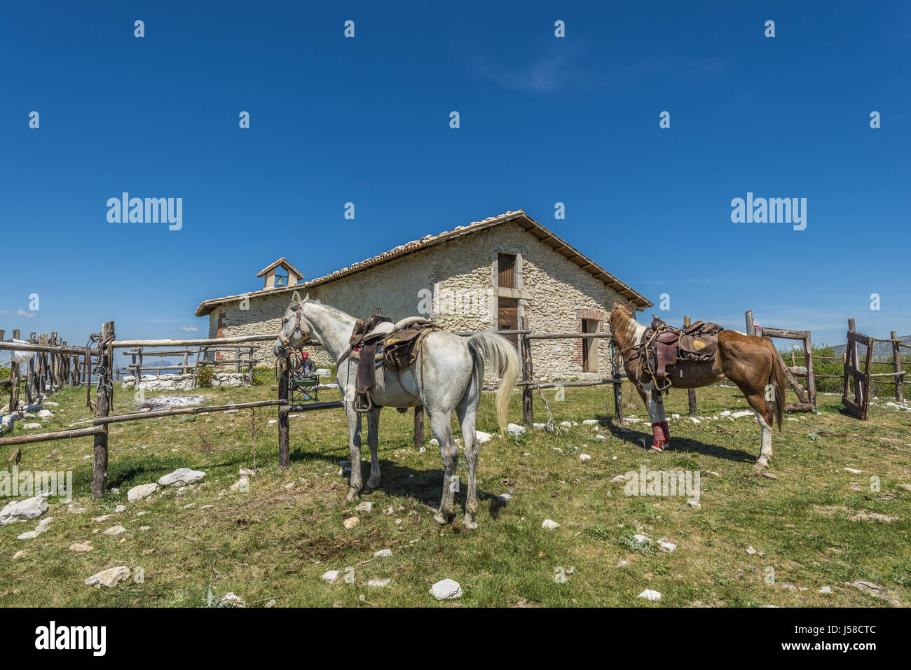 Un rifugio in montagna con 2 cavalli in attesa per i loro proprietari. Foto Stock