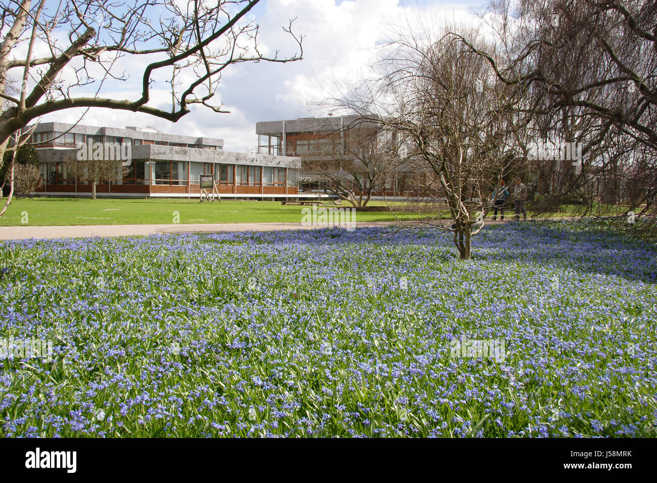 La Corte costituzionale federale di Karlsruhe 3 Foto Stock