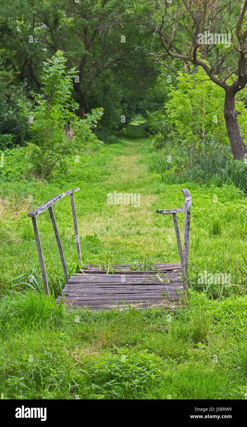 Vicino al lago Balatan, Zala county, Ungheria. Paese erbosa lane con malsicuro ponte di legno. Foto Stock