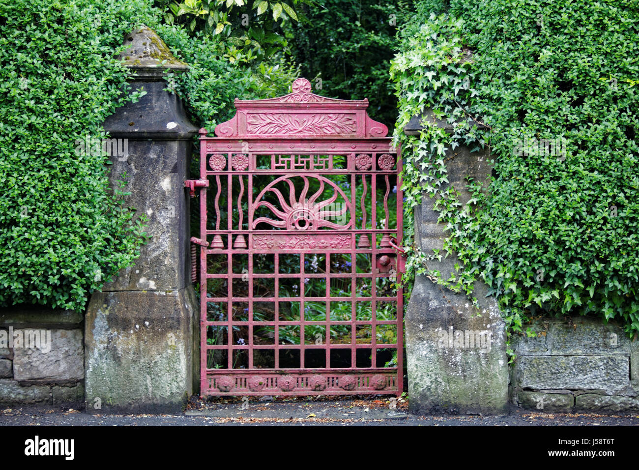 Vittoriano vecchio cancello di ferro dipinto di rosa con siepe verde sun egiziano di design Foto Stock