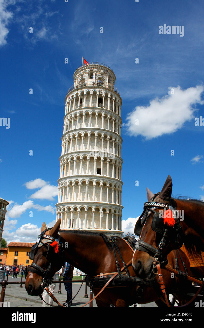 Torre pendente di Pisa con i cavalli, Italia Foto Stock