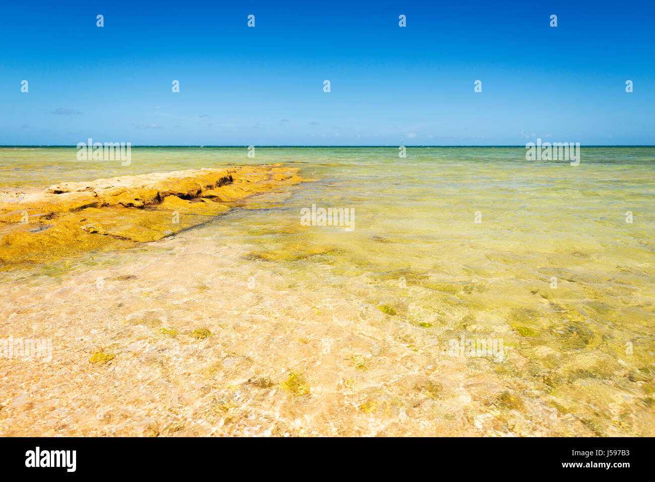 Vista dall isola di anatra su chiare acque tropicali in Nuova Caledonia nel Pacifico del Sud Foto Stock