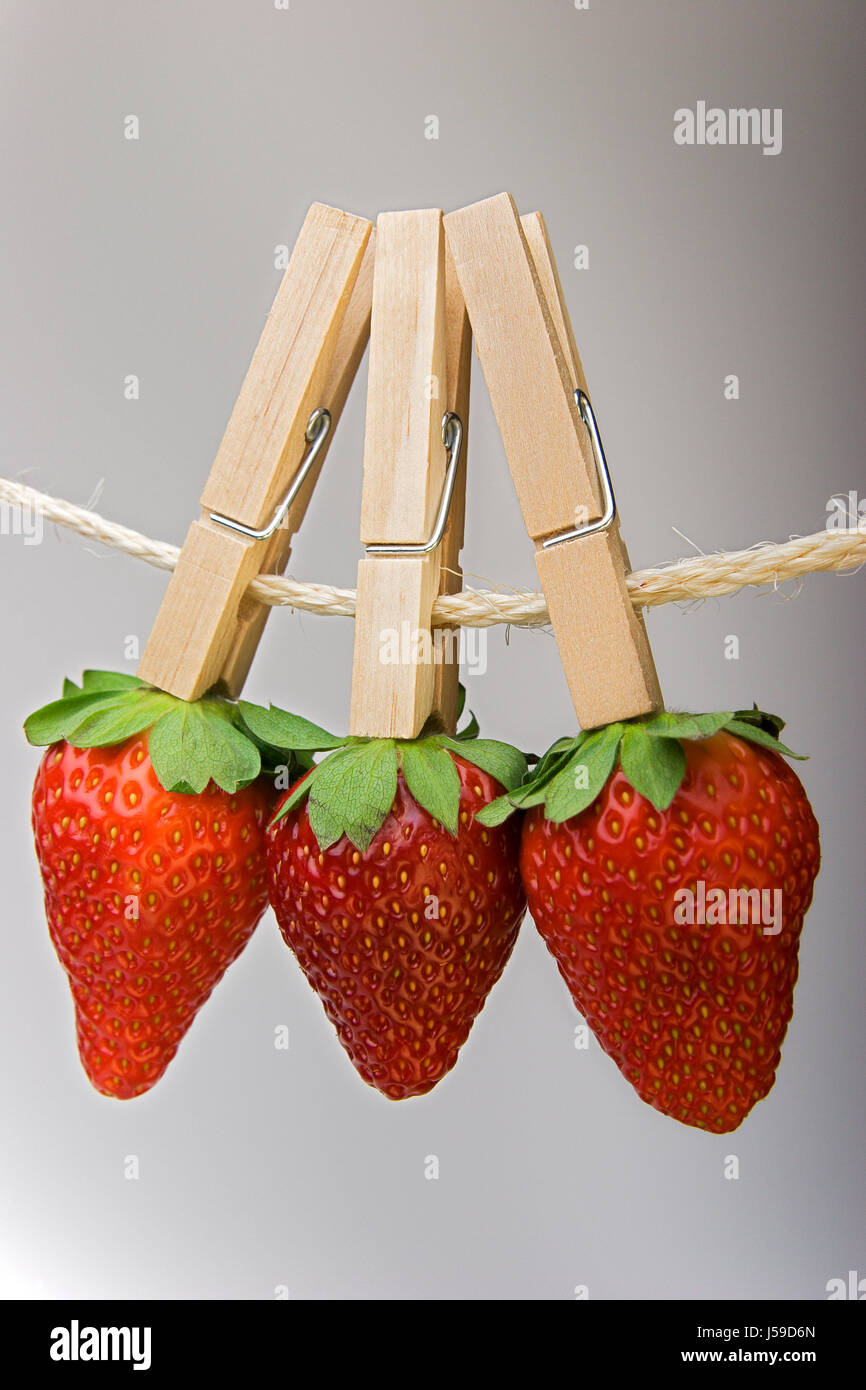 Fragole al guinzaglio Foto Stock