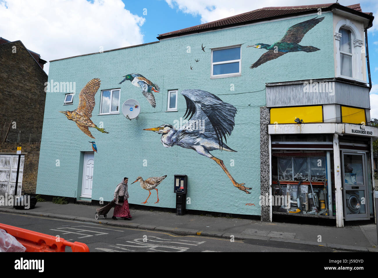 Bird murale di flying zone umide gli uccelli sulla parete di un edificio su Coppermill Lane in Walthamstow, East London REGNO UNITO KATHY DEWITT Foto Stock