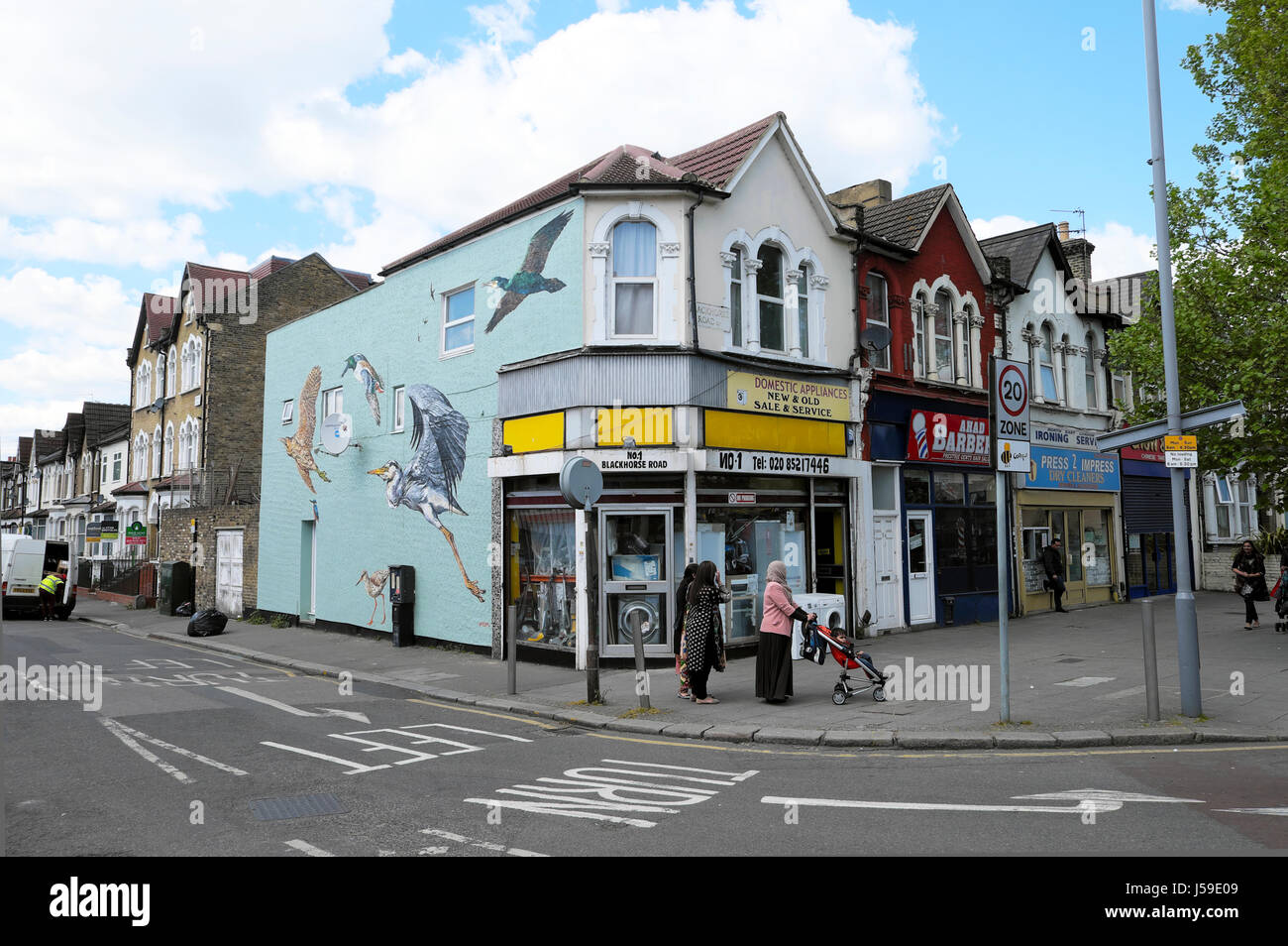 Bird murale di flying zone umide gli uccelli sulla parete di un edificio su angolo di strada a Coppermill Lane in Walthamstow, East London E17 REGNO UNITO KATHY DEWITT Foto Stock