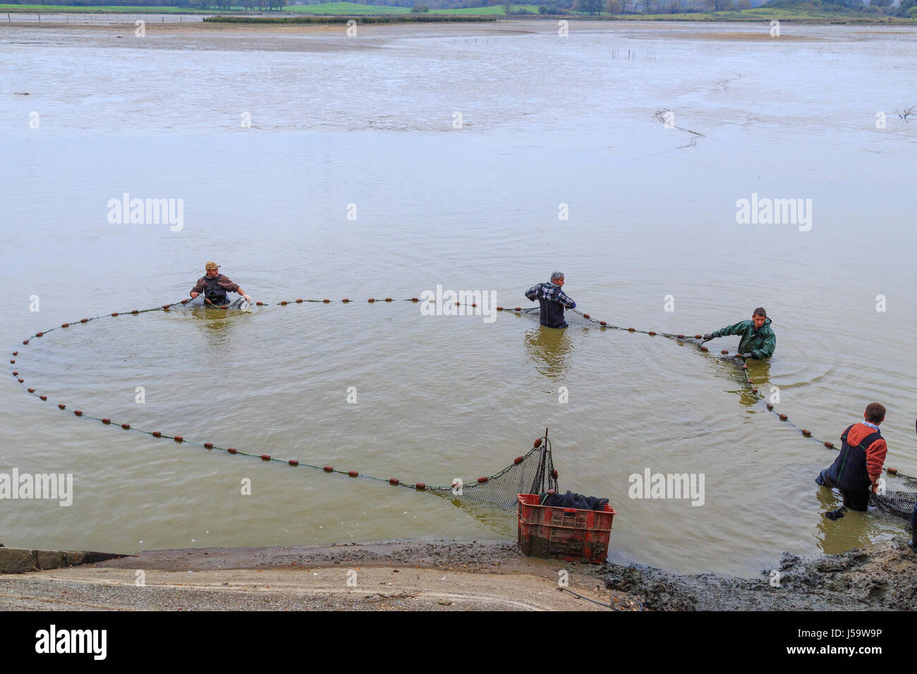 Francia, Indre (36), Parc Naturel Régional de la Brenne, Rosnay, pêche de l'étang Foucault par la piscicoltura le Maroc et le personnel du parc // Fran Foto Stock