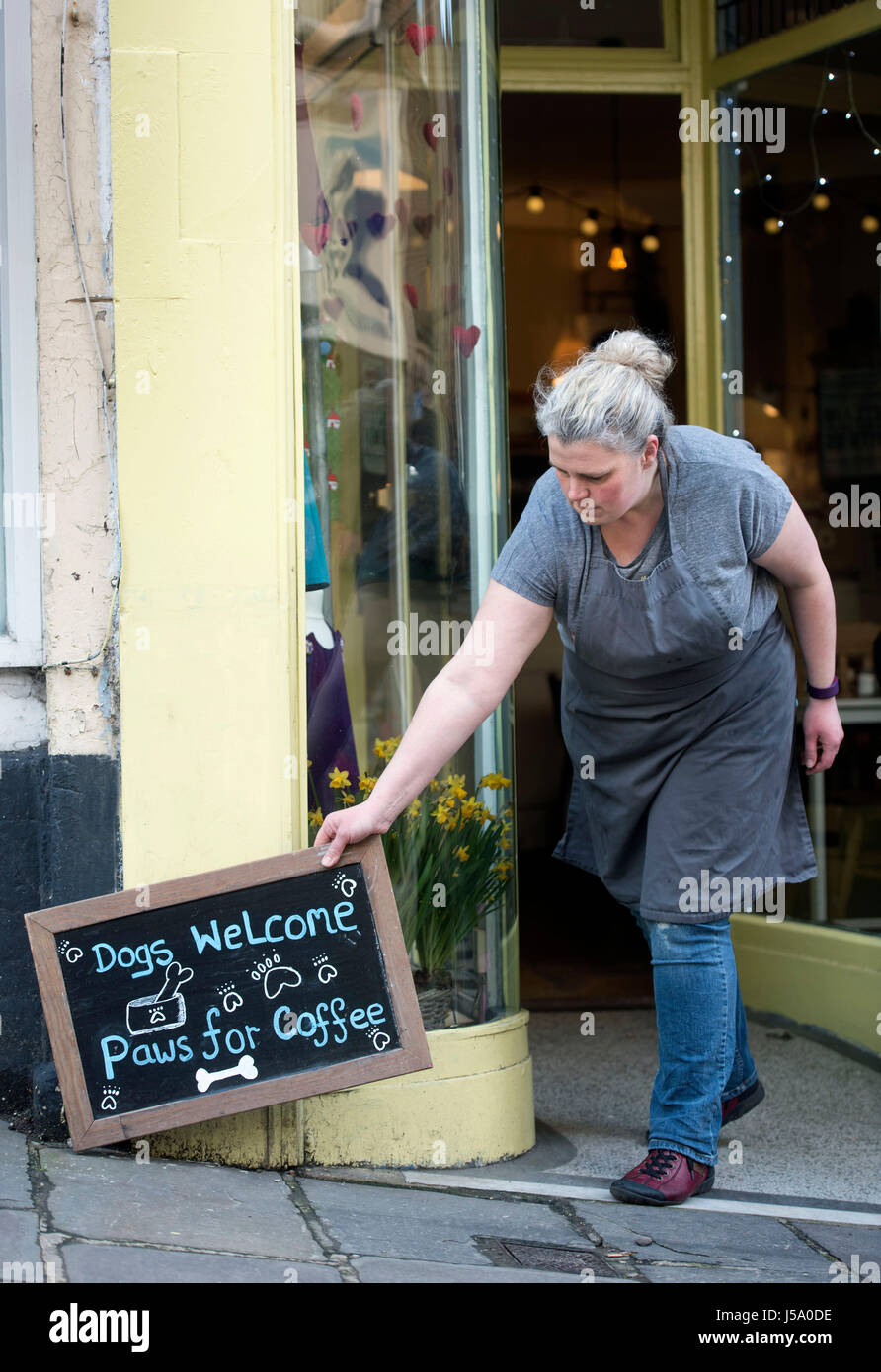 Dog friendly cafe su terreni sassosi St a Frome, Somerset REGNO UNITO Foto Stock