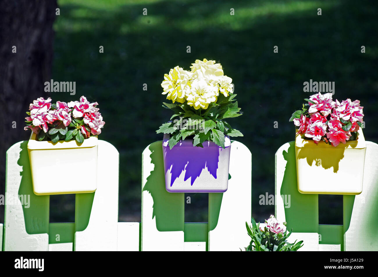 Fiori,piante,giardinaggio e regime,la primavera e l'estate,croazia,48 Foto Stock