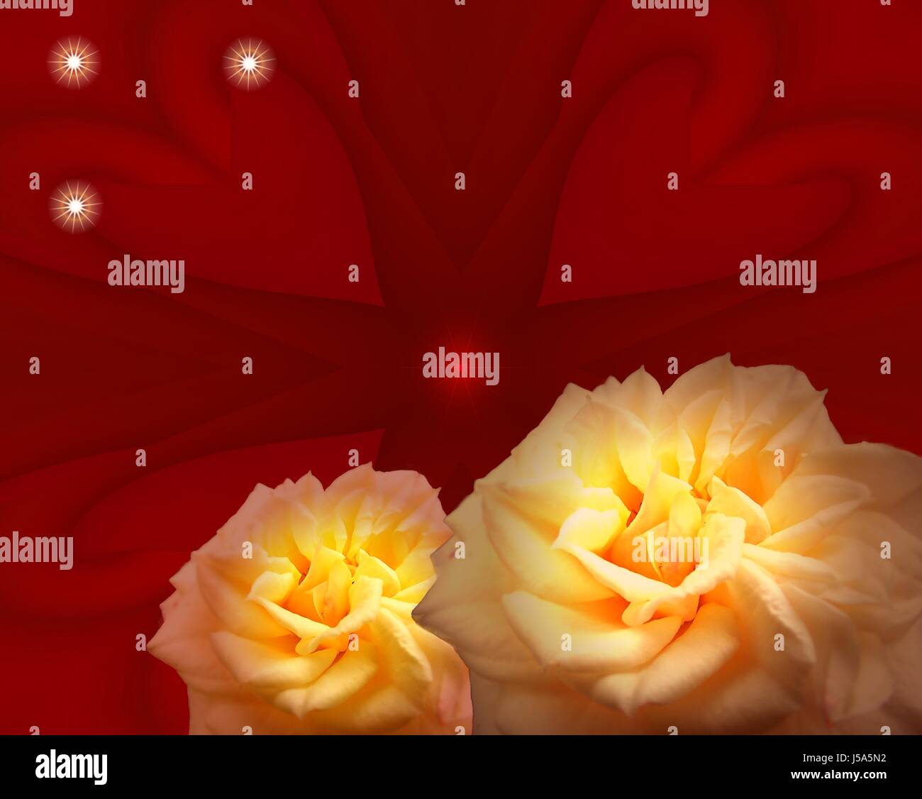 Le rose per il cuore Foto Stock