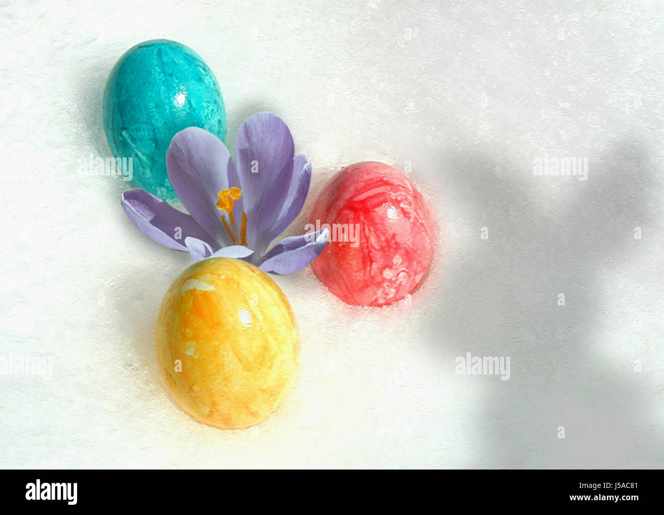 Green,pasqua,Molla,lepre,pasqua-bunny,uova di Pasqua,snow,rosso,giallo Foto Stock
