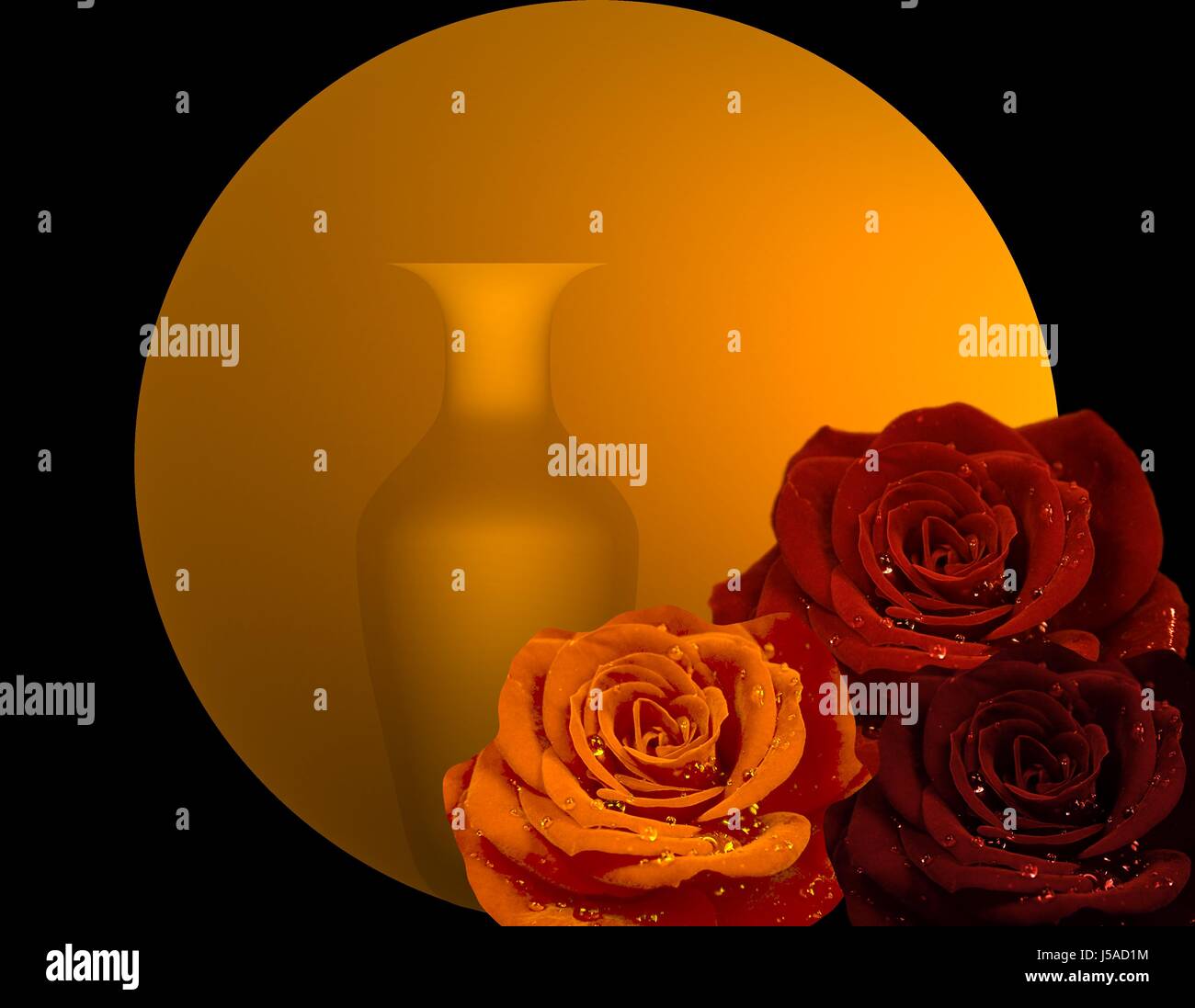 Bellissime rose Foto Stock